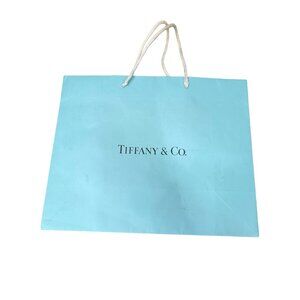 Tiffany & Co. Large Blue Paper Shopping Bag With Rope Handles 14x11 Gift Empty